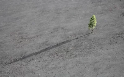 Procent składany – na&nbsp;czym polega jego magia?