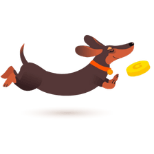 Edukacja finansowa dla kobiet | Girls Money Club