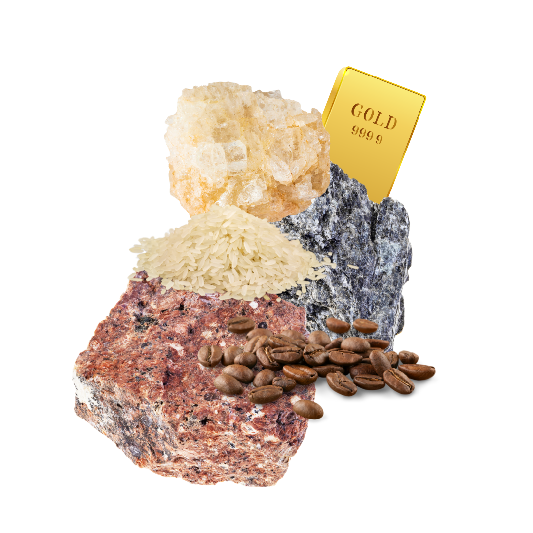 Dorota Sierakowska | Edukacja finansowa dla kobiet | Girls Money Club